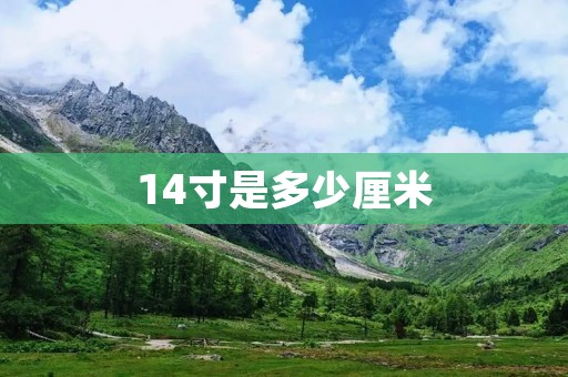 14寸是多少厘米