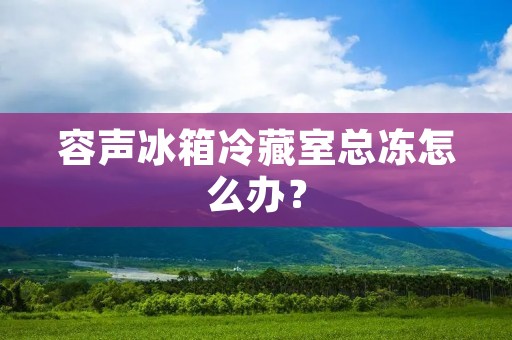 容声冰箱冷藏室总冻怎么办？