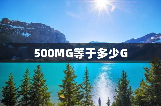 500MG等于多少G