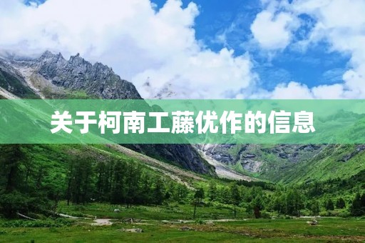 关于柯南工藤优作的信息