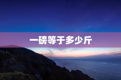 一磅等于多少斤 一磅等于多少斤