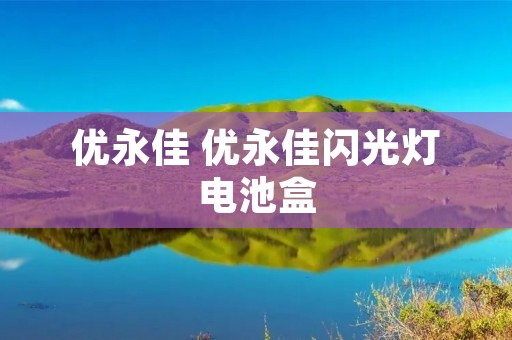 优永佳 优永佳闪光灯电池盒