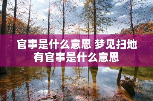 官事是什么意思 梦见扫地有官事是什么意思 官事是什么意思 梦见扫地有官事是什么意思