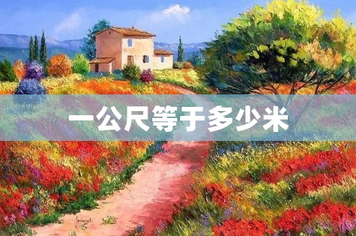 一公尺等于多少米