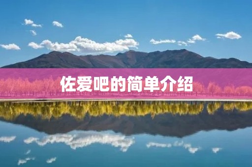 佐爱吧的简单介绍 佐爱吧的简单介绍