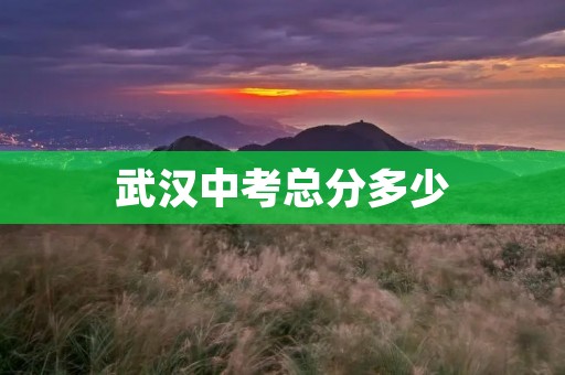 武汉中考总分多少