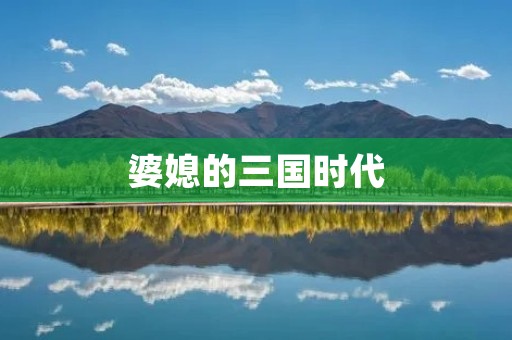 婆媳的三国时代：家族纷争中的女性角力