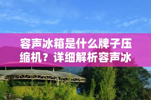 容声冰箱是什么牌子压缩机?详细解析容声冰箱压缩机品牌 容声冰箱是什么牌子压缩机?详细解析容声冰箱压缩机品牌