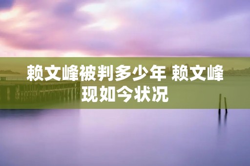 赖文峰被判多少年 赖文峰现如今状况