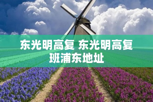 东光明高复 东光明高复班浦东地址