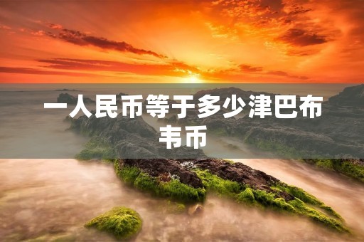 一人民币等于多少津巴布韦币 一人民币等于多少津巴布韦币