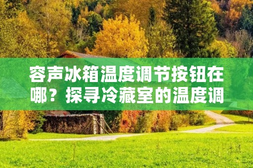 容声冰箱温度调节按钮在哪？探寻冷藏室的温度调节方法