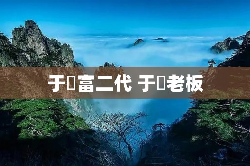 于湉富二代 于湉老板