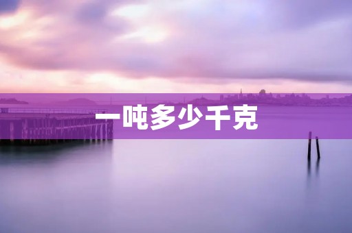 一吨多少千克