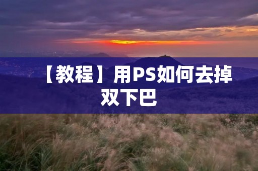 【教程】用PS如何去掉双下巴 【教程】用PS如何去掉双下巴