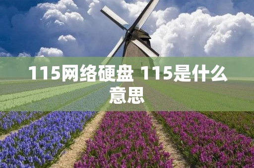 115网络硬盘 115是什么意思