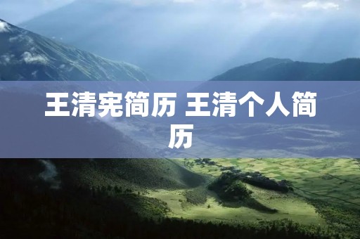 王清宪简历 王清个人简历