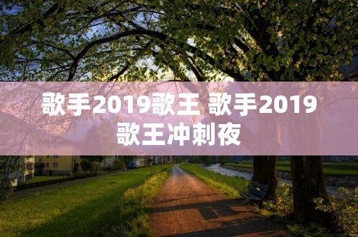 歌手2019歌王 歌手2019歌王冲刺夜