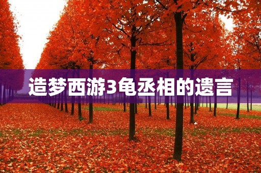造梦西游3龟丞相的遗言：永恒的智慧传承
