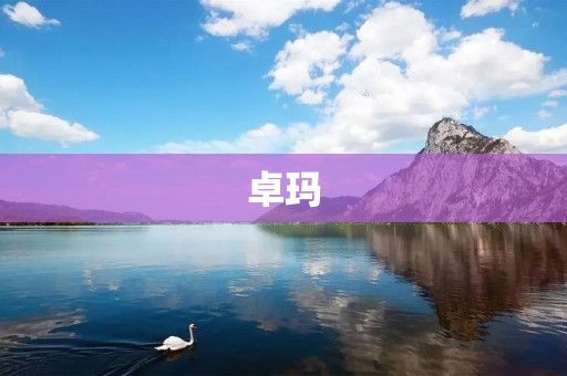 卓玛：传承藏族文化的美妙之声
