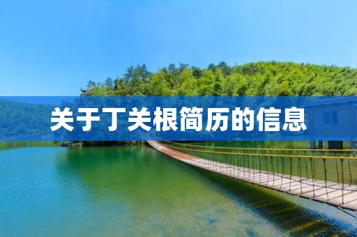 关于丁关根简历的信息