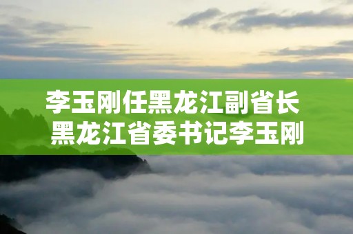 李玉刚任黑龙江副省长 黑龙江省委书记李玉刚 李玉刚任黑龙江副省长 黑龙江省委书记李玉刚