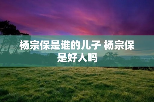 杨宗保是谁的儿子 杨宗保是好人吗