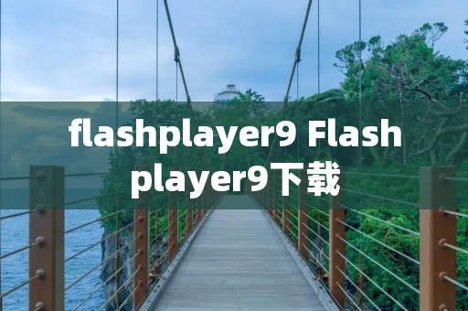 flashplayer9 Flashplayer9下载