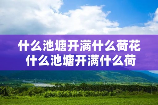 什么池塘开满什么荷花 什么池塘开满什么荷花二年级语文