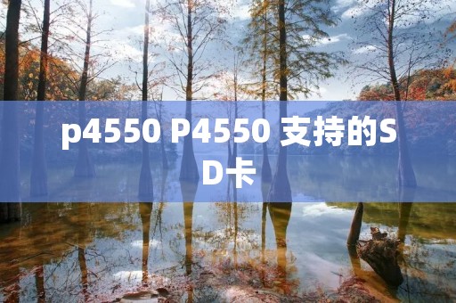 p4550 P4550 支持的SD卡