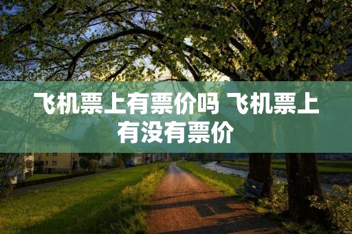 飞机票上有票价吗 飞机票上有没有票价