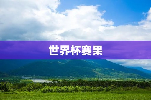世界杯赛果：揭秘历届比赛的胜负结果