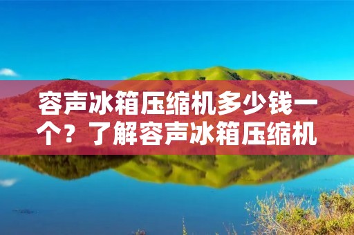 容声冰箱压缩机多少钱一个？了解容声冰箱压缩机价格的因素