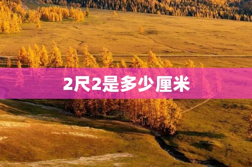 2尺2是多少厘米