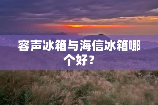 容声冰箱与海信冰箱哪个好？