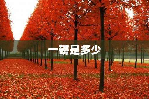 一磅是多少 一磅是多少