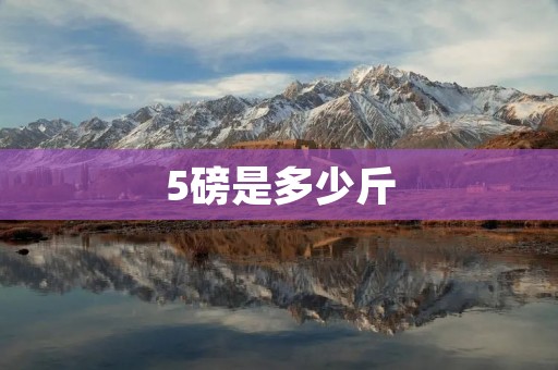 5磅是多少斤