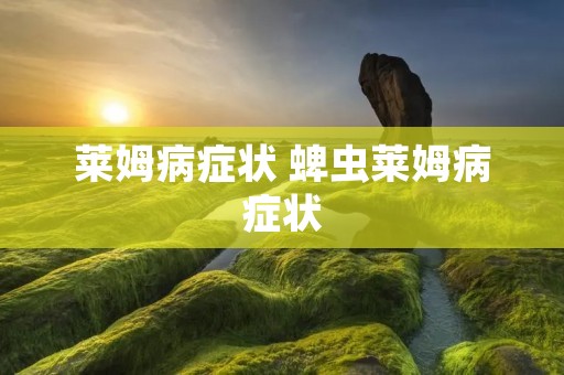 莱姆病症状 蜱虫莱姆病症状