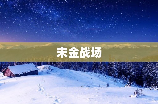 宋金战场:历史的烽火与智慧的交锋 宋金战场:历史的烽火与智慧的交锋