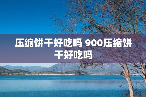 压缩饼干好吃吗 900压缩饼干好吃吗
