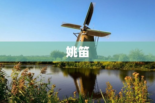 姚笛：从繁华到黯淡，一个女星的崛起与跌落