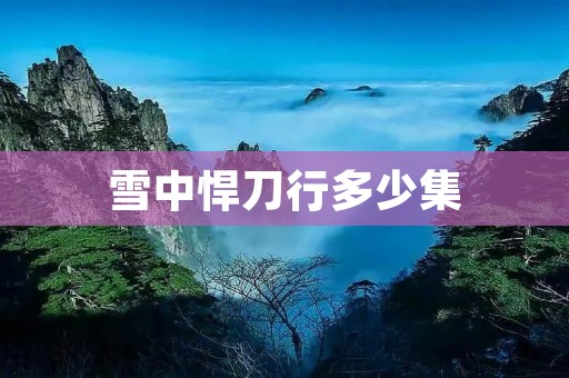 雪中悍刀行多少集