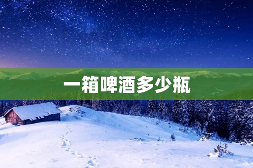 一箱啤酒多少瓶