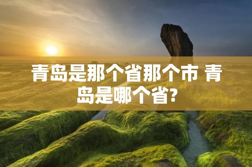 青岛是那个省那个市 青岛是哪个省?