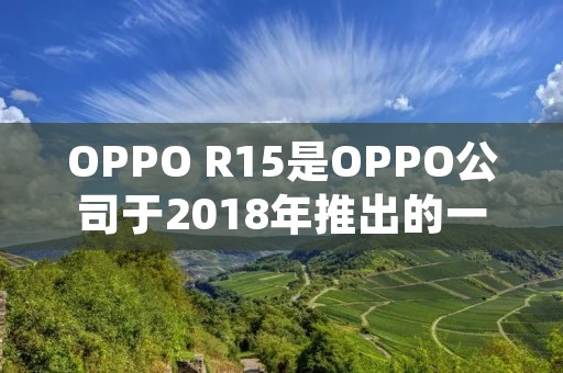 OPPO R15是OPPO公司于2018年推出的一款中高端智能手机，其价格在市场上有所不同，具体价格因地区、销售渠道和配置等因素而异。
