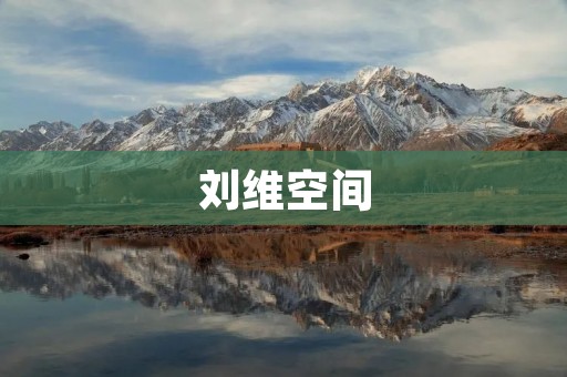 刘维空间：打造属于你的个性化生活空间