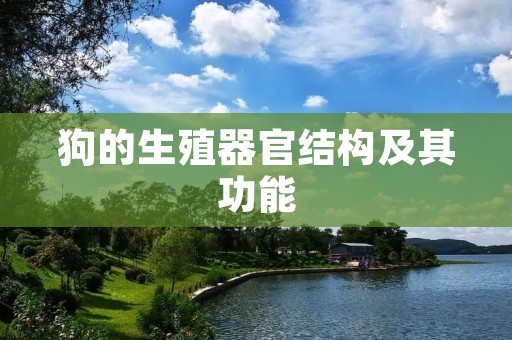 狗的生殖器官结构及其功能 狗的生殖器官结构及其功能