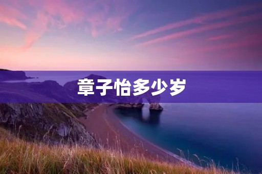 章子怡多少岁