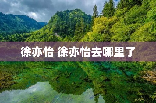 徐亦怡 徐亦怡去哪里了