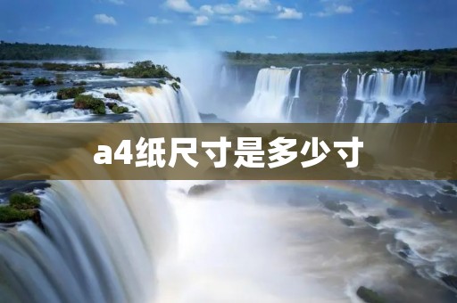 a4纸尺寸是多少寸